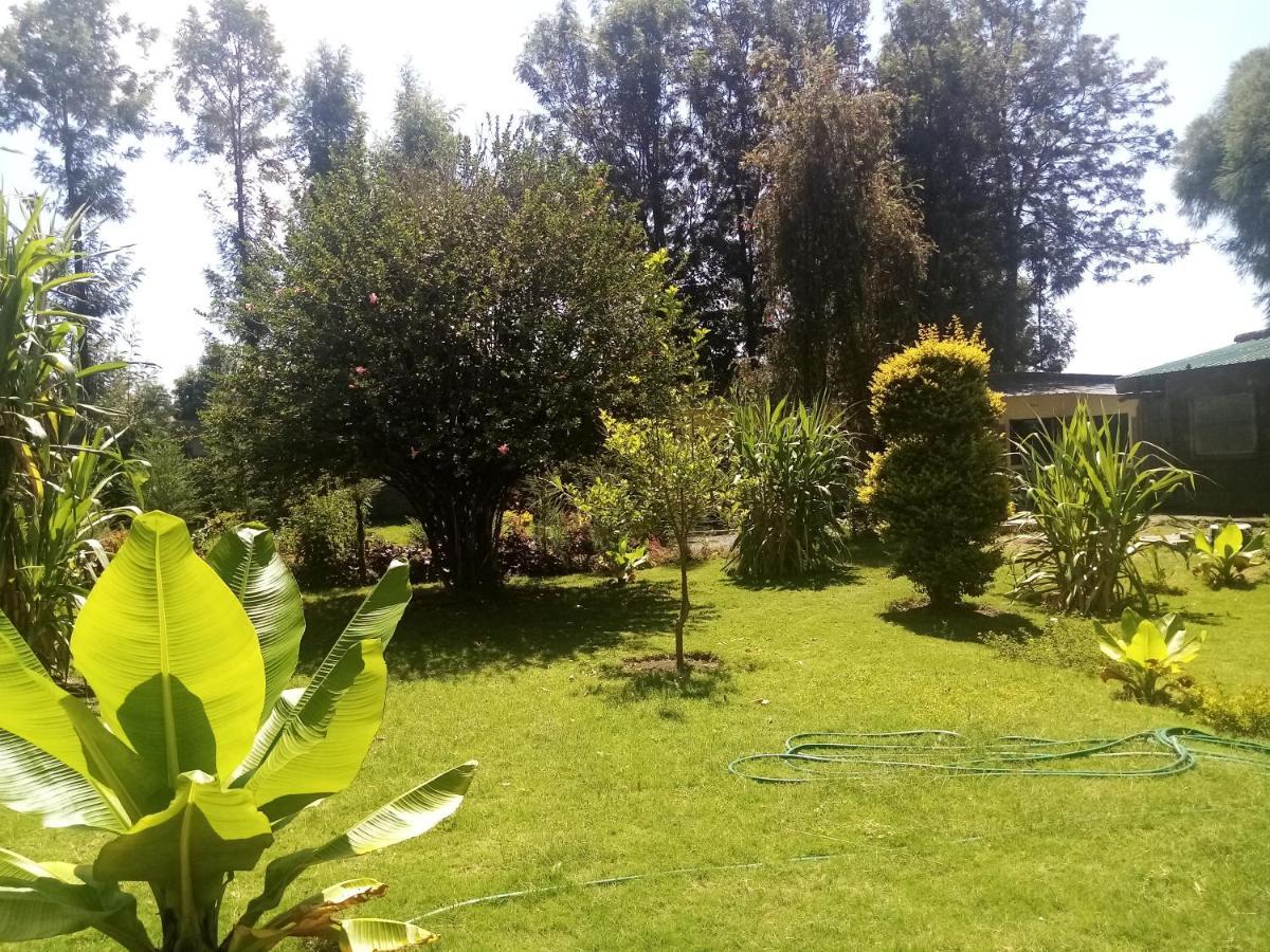 Homebase Gardens Накуру Екстер'єр фото